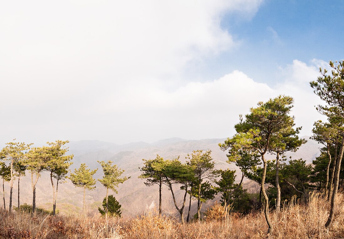 北區 (蔚山廣域市)