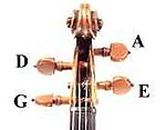 Scroll and pegbox, correctly strung Violin peg strings.jpg