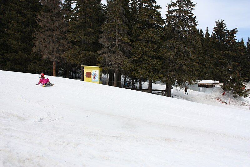 File:Vitosha mountain Aleko Bulgaria 20090406 036.JPG