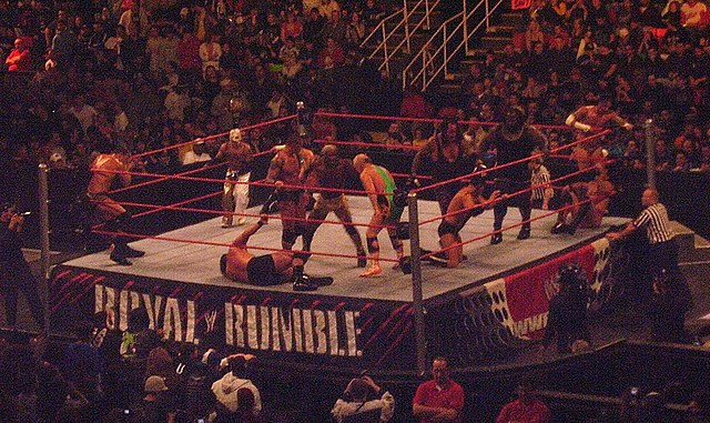 WWE Royal Rumble match in 2009