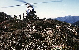 Loading into a Navy Wessex at Mt Murray. Mt Feathertop in the background. An army Chinook helicopter was also deployed. January 1985. Source: Peter McHugh. FCRPA* collection. Wessex028.jpg