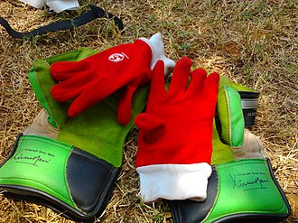 Wicket keeping gloves along with the inner gloves Wicket keeping gloves along with the inner gloves.jpg