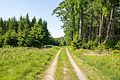 * Nomination: Eggeweg (way along the Egge hills) in Willebadessen, Germany --Tsungam 07:04, 1 July 2017 (UTC) * Review I see two minor issues: there are some rests of cut-off twigs on the upper edge and I'm wondering if the trees on the right were really leaning out that way, it seems a bit extreme and maybe could be corrected. --Basotxerri 07:39, 1 July 2017 (UTC)