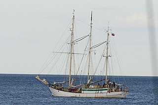 <i>Zawisza Czarny</i> (ship) sail training ship owned by the Polish scouts