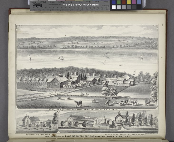 File:"West Farm Building of David Brinkerhoff ESQ. Looking S.W. on Owasco Lake; Building on East Farm; Building on West Farm Looking East; Farm Buildings of David Brinkerhoff ESQ., Township Owasco, NYPL1583081.tiff