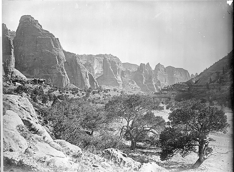 File:(Old No. 118) De Chelly Valley, Arizona, Apache County. (Beautiful large trees in the valley). - NARA - 517766.jpg