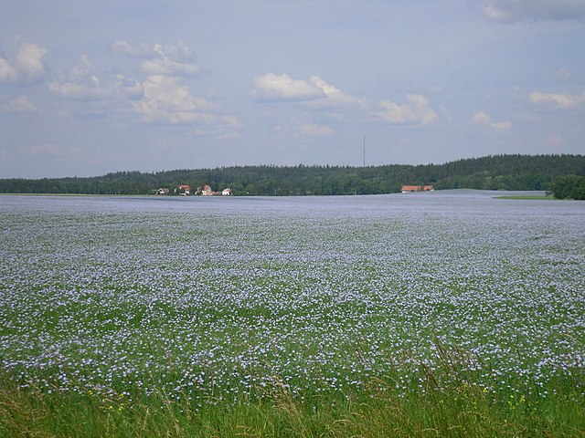Typical Östgöta plains