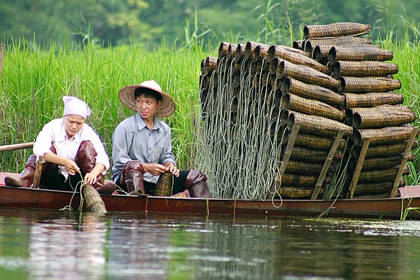 Traditional fish traps, Hà Tây, Vietnam.