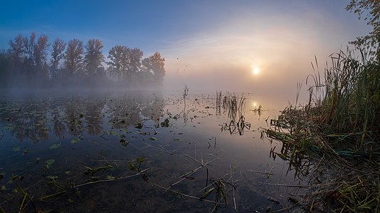 "Ранкові_кольори_у_заказнику_Бобровня.jpg" by User:Alex Arendar