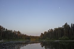 Річка Любка. Квітень 2015 року