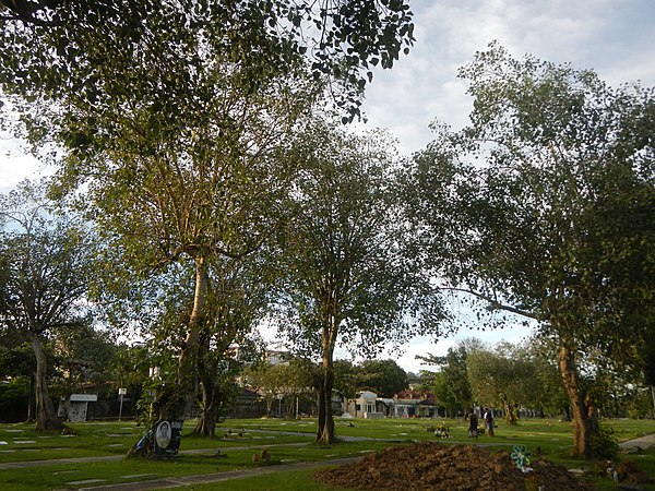 Loyola Memorial Park