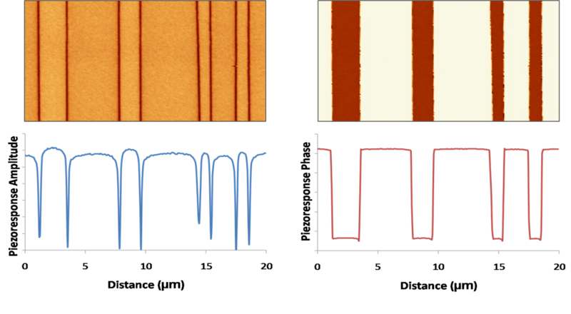 File:180 degree ferroelectric domains with profiles.png