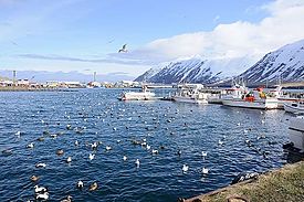2014-04-29 11-04-49 Island - Siglufirði Siglufjörður.JPG