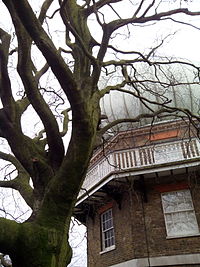 Dome of the Greenwich 28 inch refractor telescope and tree (2015)