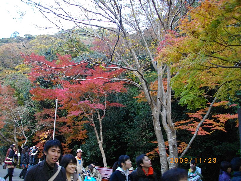 File:2 Minookōen, Minoo-shi, Ōsaka-fu 562-0002, Japan - panoramio (8).jpg