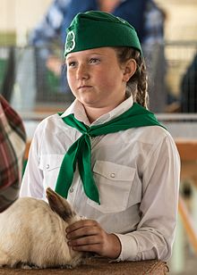 A girl presenting her rabbit at the Calaveras County Fair in California 2016 4-H girl presenting her bunny at Calaveras County Fair 2016.jpg