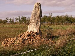 Havainnollinen kuva Menhir des Pins -artikkelista