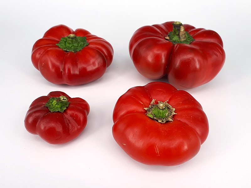 File:4 x Flat red bell pepper 2017 B1.jpg