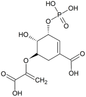 Illustratieve afbeelding van het item 5-O- (1-carboxyvinyl) -3-fosfoshikiminezuur