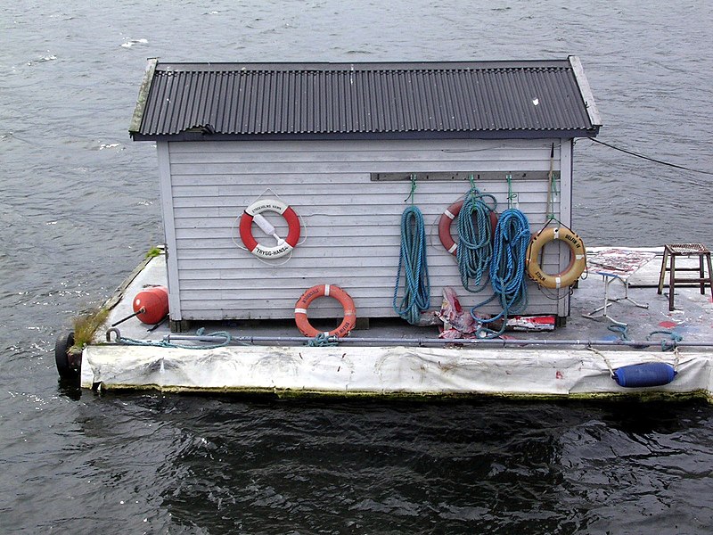 File:A Shed by the Water.jpg