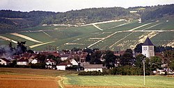 A village with vineyards in Champagne, France 1987.jpg