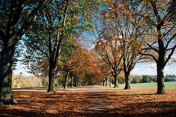 Image: Abington Park