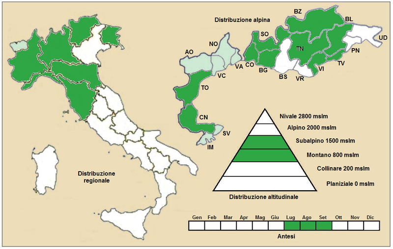 File:Aconitum variegatum variegatum - Distribution (Italy).PNG