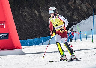 <span class="mw-page-title-main">Adrian Pertl</span> Austrian alpine skier