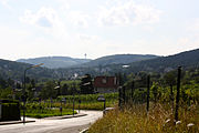 Agnesgasse Neustift am Walde.jpg