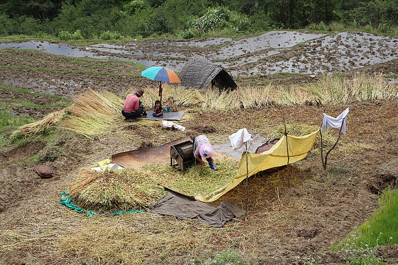 File:Agriculture in Bhutan 04.jpg