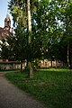 Der Alte Friedhof in Freiburg Neuburg