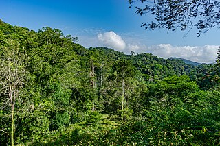 <span class="mw-page-title-main">Amani Nature Reserve</span> Protected area in Tanga Region, Tanzania