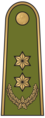 pulkininkas leitenantas, Lithuania