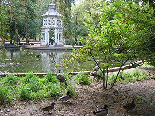 Patos y pavos reales del Jardín del Príncipe / Prince's Garden ducks and peacocks