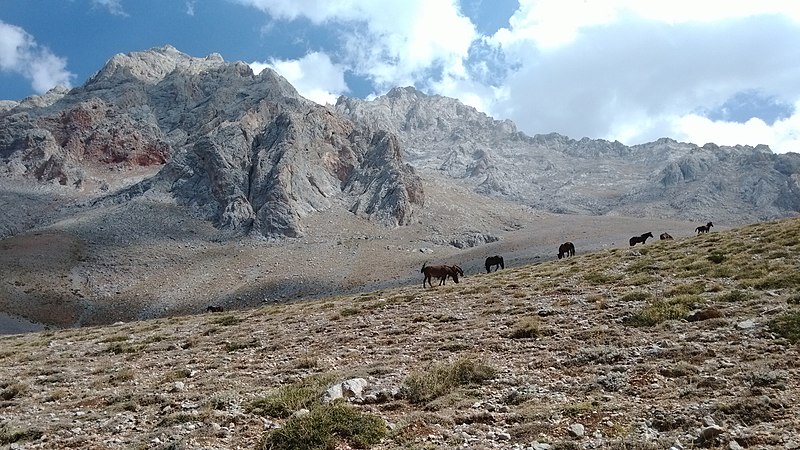 File:Arpalık yayla dan BDK batı yüzü ve Çataktepe.jpg