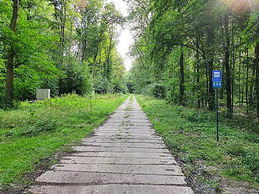 Auewald am Wasserwerk II (Naunhof) - Mittelweg 01