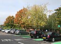 Autumn colour in a corner of the supermarket car park - geograph.org.uk - 2108419.jpg