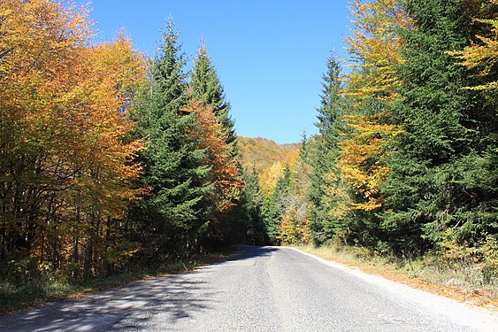 Autumn road in Balkan Mountains, near Sofia, Bulgaria