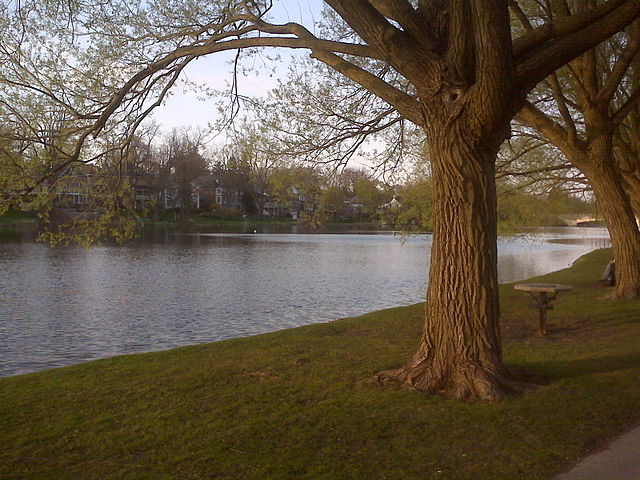 Another view of Lake Victoria in Stratford