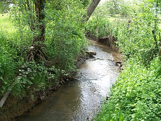 Badsey Brook Stream in Worcestershire, England