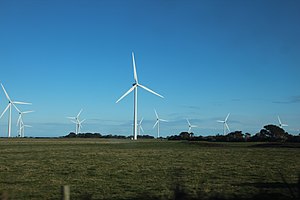 Bald Hills Wind farm.jpg