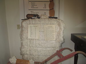 A bale of cotton on display at the Louisiana State Cotton Museum in Lake Providence in East Carroll Parish in northeastern Louisiana Bale of cotton at LA State Cotton Museum IMG 7387.JPG