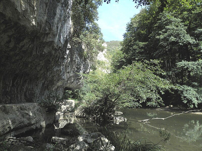 File:Banat, Nera Canyon - panoramio (64).jpg