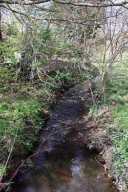 Barkham Brook (coğrafya 3435589) .jpg