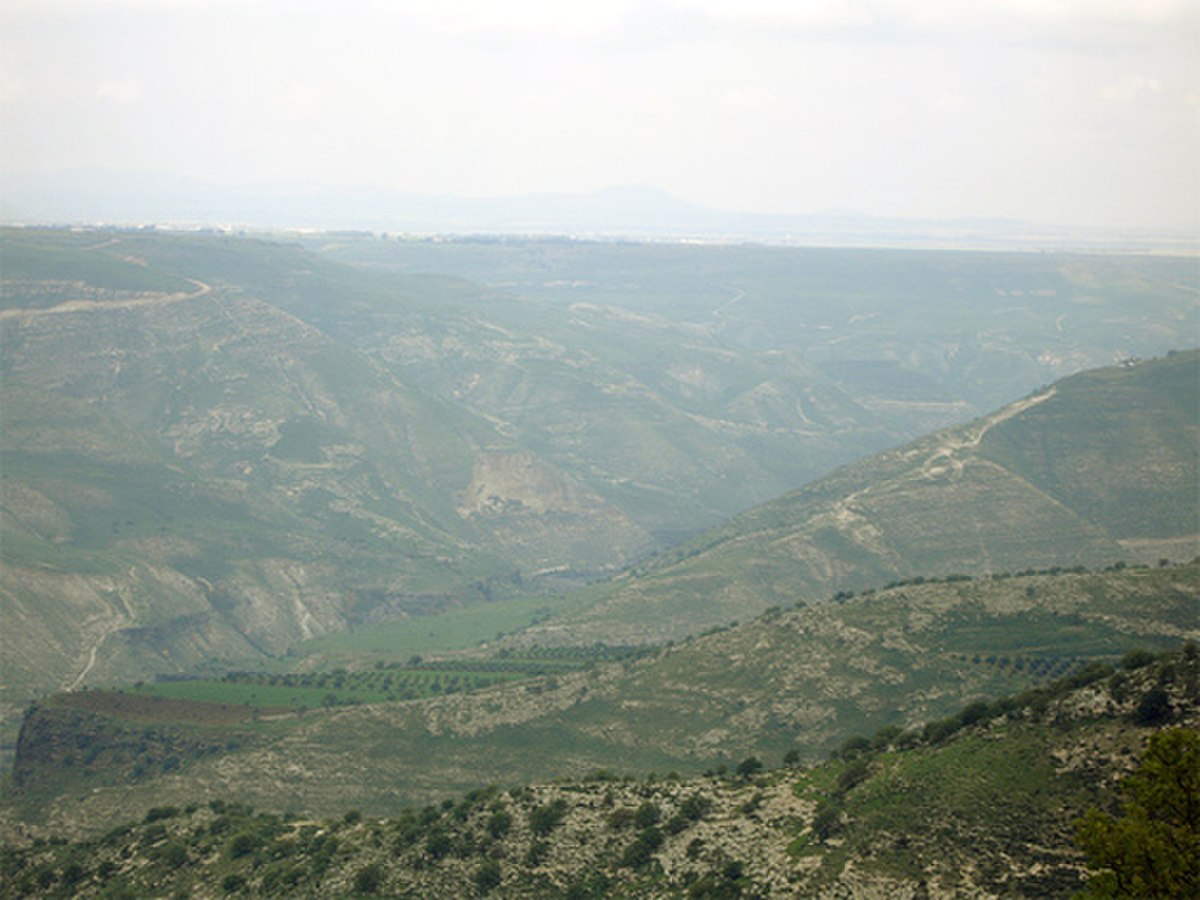 Aerial of tree-covered hills and deep ravines