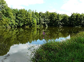 The river feeds the Étang de Beaufort near Saint-Front-de-Pradoux