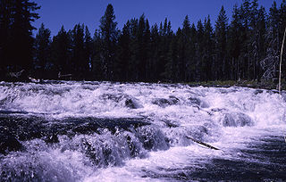 Bechler Falls waterfall on the Bechler River in Yellowstone National Park