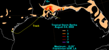 Total rainfall map of Bertha in the Gulf coast Bertha 2002 rainfall.png