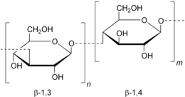 Ilustrační obrázek článku Lichenin