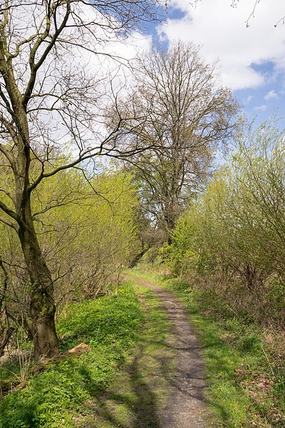 File:Bielefeld - 2017-04-25 - BI-015 Großer Bruch (19).jpg